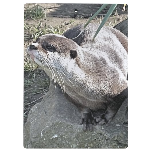 NIEDLICH OTTER KLEMMBRETT (Rückseite)