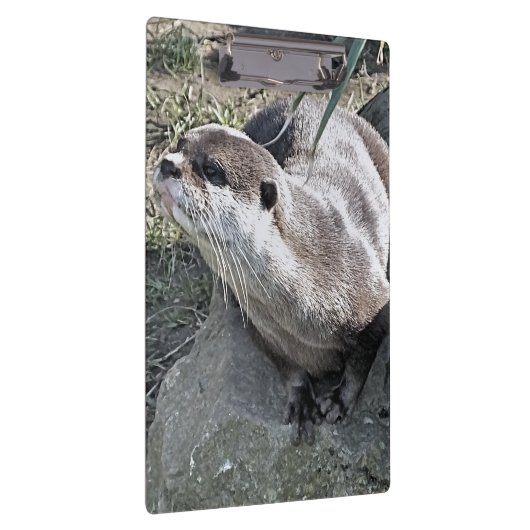 NIEDLICH OTTER KLEMMBRETT (Rechts)