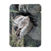 NIEDLICH OTTER MAGNET (Vertikal)