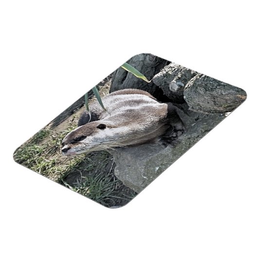 NIEDLICH OTTER  MAGNET (Linke Seite)