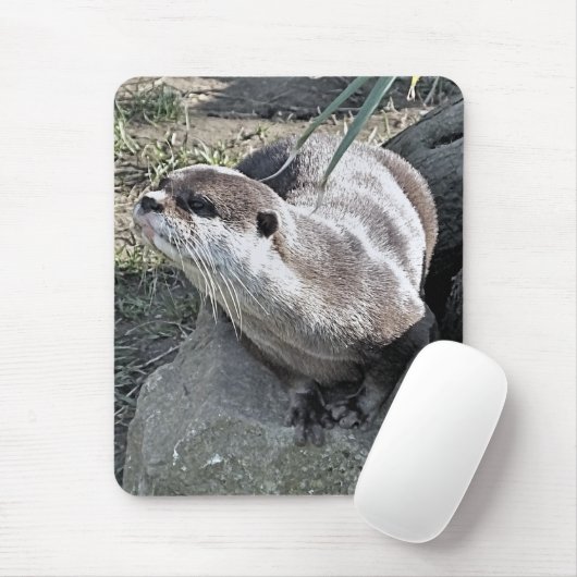 NIEDLICH OTTER   MOUSEPAD (Mit Mouse)