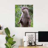 Niedlich Otter Poster (Heimbüro)