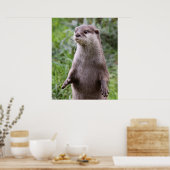 Niedlich Otter Poster (Küche)
