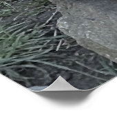 NIEDLICH OTTER POSTER (Ecke)