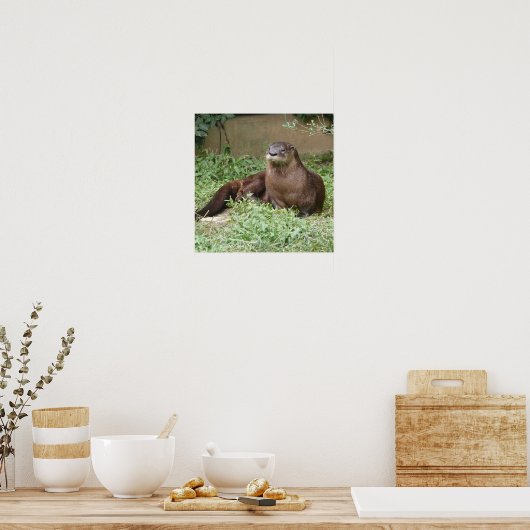 Niedlich Otter Poster (Küche)