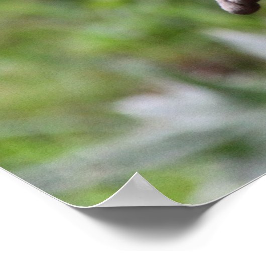 Niedlich Otter stehend Poster (Ecke)