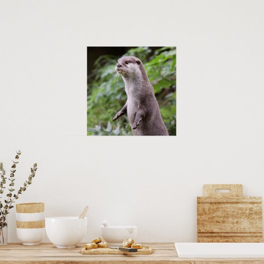 Niedlich Otter stehend Poster (Küche)
