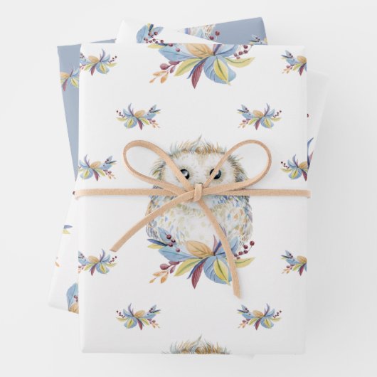 Niedlich Owl beige und blau Geschenkpapier Set (Beispiel)
