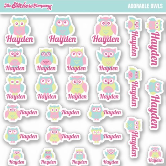 Niedlich Owls Individuelle Name Labels | Schule (Vorderseite)