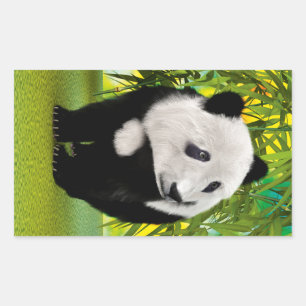 Niedlich Panda Bear Cub Kawaii Tiergeschenk Rechteckiger Aufkleber