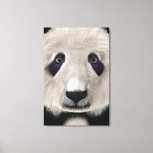 Niedlich Panda Bear Kawaii Animal Lover Perfektes Leinwanddruck