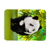 Niedlich Panda Bear Kawaii Animal Lover Perfektes Magnet (Horizontal)
