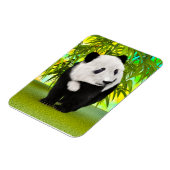 Niedlich Panda Bear Kawaii Animal Lover Perfektes Magnet (Linke Seite)