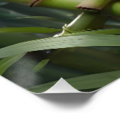 Niedlich Panda Eating Bamboo Poster (Ecke)