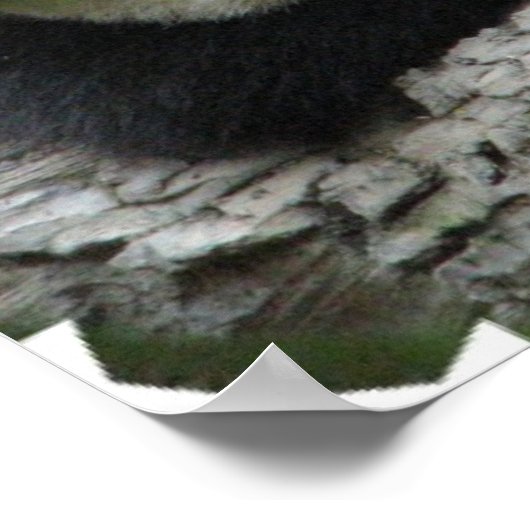 Niedlich Panda Poster (Ecke)