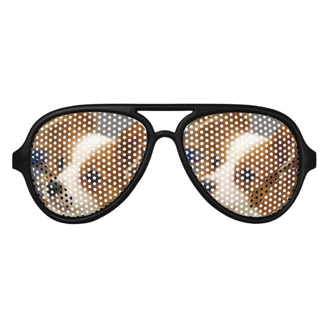 Niedlich Papillon Dog Sonnenbrille (Vorderseite)