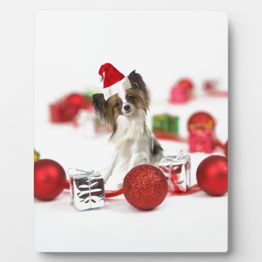 Niedlich Papillon Dog Weihnachtsmannmütze Fotoplatte (Vorderseite)