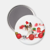 Niedlich Papillon Dog Weihnachtsmannmütze Magnet (Vorderseite/Rückseite)