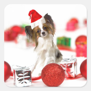 Niedlich Papillon Dog Weihnachtsmannmütze Quadratischer Aufkleber