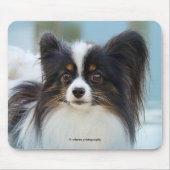 Niedlich Papillon Toy Spaniel Dog am Dock Mousepad (Vorne)