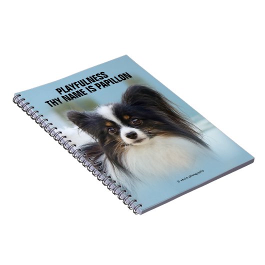 Niedlich Papillon Toy Spaniel Dog am Dock Notizblock (Rechte Seite)