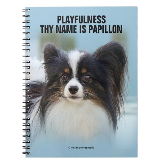 Niedlich Papillon Toy Spaniel Dog am Dock Notizblock (Vorderseite)