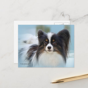 Niedlich Papillon Toy Spaniel Dog am Dock Postkarte