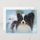 Niedlich Papillon Toy Spaniel Dog am Dock Postkarte (Vorne/Hinten)