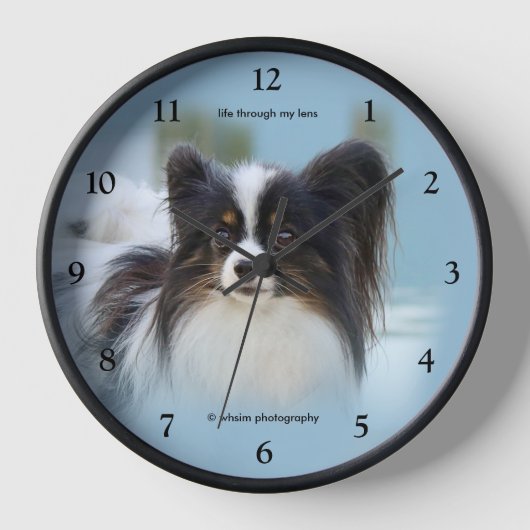 Niedlich Papillon Toy Spaniel Dog am Dock Uhr (Vorderseite)