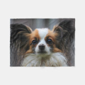 Niedlich Papillon Toy Spaniel Dog Fotografie Fleecedecke (Vorderseite (Horizontal))