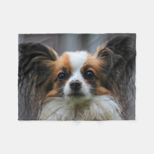 Niedlich Papillon Toy Spaniel Dog Fotografie Fleecedecke