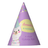 NIEDLICH PASTEL FARBEN LLAMA BIRTHTAG PARTYHÜTCHEN (Vorderseite)