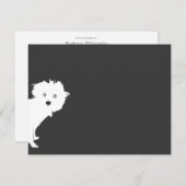 Niedlich Peeking Pup Flat Notecard Mitteilungskarte (Vorne/Hinten)