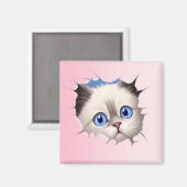 Niedlich Peeking Ragdoll Cat Magnet (Vorderseite/Rückseite)