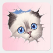 Niedlich Peeking Ragdoll Cat Quadratischer Aufkleber (Vorderseite)