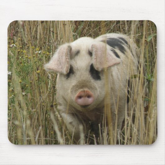 Niedlich Pig Mousepad (Vorne)