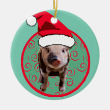 Niedlich Pig Santa - Aquamarin und rot