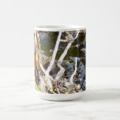 Niedlich Pine Marten auf der Tasse des gefallenen (Mittel)