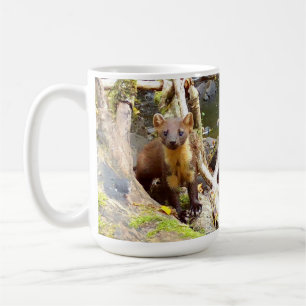 Niedlich Pine Marten auf der Tasse des gefallenen 