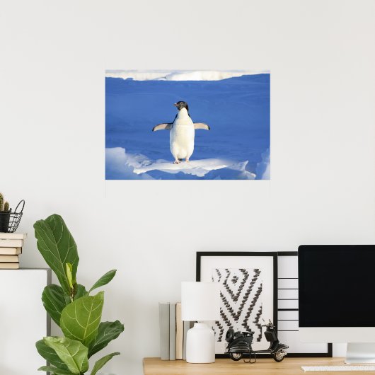 Niedlich Pinguin Poster (Heimbüro)