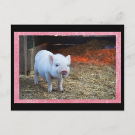 Niedlich Pink Pigment Postkreuzung Postkarte