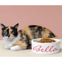 Niedlich Pink Stars Cat Kitty Kitten Welpenname Kü