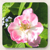 Niedlich-Pink-Tulpe Getränkeuntersetzer (Vorderseite)