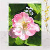 Niedlich-Pink-Tulpe Karte (Gelbe Blume)