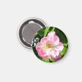 Niedlich-Pink-Tulpe Magnet (Vorderseite/Rückseite)