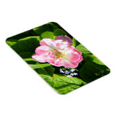 Niedlich-Pink-Tulpe Magnet (Rechte Seite)