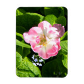 Niedlich-Pink-Tulpe Magnet (Vertikal)