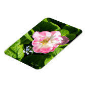 Niedlich-Pink-Tulpe Magnet (Linke Seite)