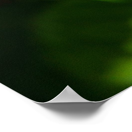 Niedlich-Pink-Tulpe Poster (Ecke)