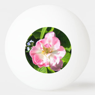 Niedlich-Pink-Tulpe Tischtennisball